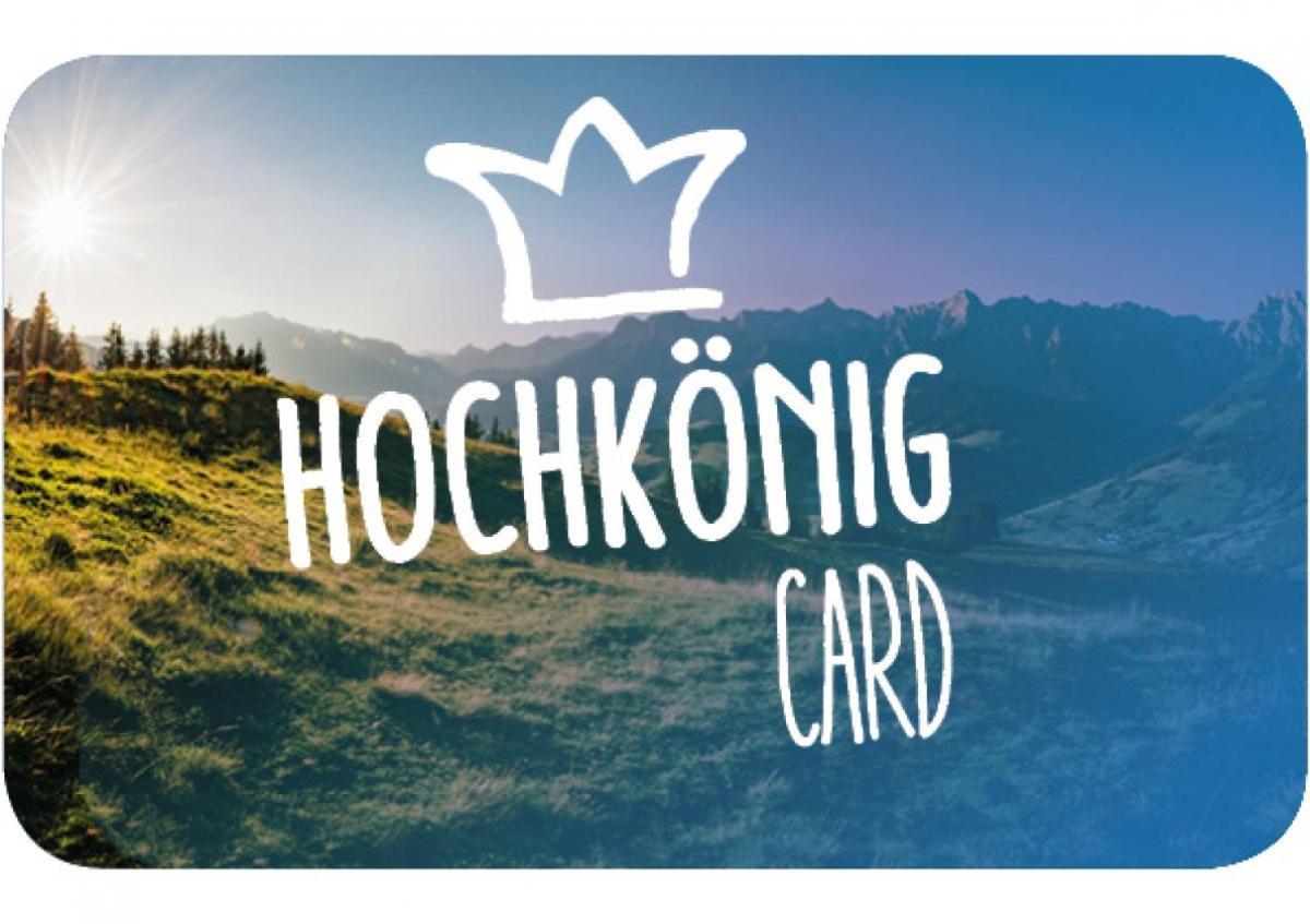 Haus Schneeberg Mit Hochkoenig Card Διαμέρισμα Mühlbach am Hochkönig Εξωτερικό φωτογραφία